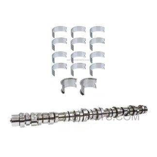 Volvo D13 22501349 Camshaft Kit